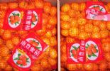 Nanfeng Orange